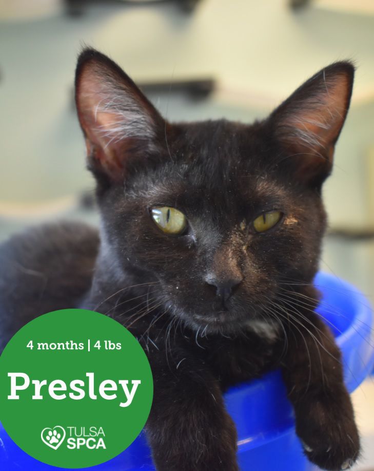 Presley